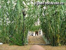 [P29] podul peste piscina si trestia...de zahar » foto by ecosistem
 - 
<span class="allrVoted glyphicon glyphicon-heart hidden" id="av121327"></span>
<a class="m-l-10 hidden" id="sv121327" onclick="voting_Foto_DelVot(,121327,921)" role="button">șterge vot <span class="glyphicon glyphicon-remove"></span></a>
<a id="v9121327" class=" c-red"  onclick="voting_Foto_SetVot(121327)" role="button"><span class="glyphicon glyphicon-heart-empty"></span> <b>LIKE</b> = Votează poza</a> <img class="hidden"  id="f121327W9" src="/imagini/loader.gif" border="0" /><span class="AjErrMes hidden" id="e121327ErM"></span>