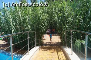 [P05]  -- <small>// FĂRĂ DESCRIERE</small> » foto by brumi
 - 
<span class="allrVoted glyphicon glyphicon-heart hidden" id="av763473"></span>
<a class="m-l-10 hidden" id="sv763473" onclick="voting_Foto_DelVot(,763473,921)" role="button">șterge vot <span class="glyphicon glyphicon-remove"></span></a>
<a id="v9763473" class=" c-red"  onclick="voting_Foto_SetVot(763473)" role="button"><span class="glyphicon glyphicon-heart-empty"></span> <b>LIKE</b> = Votează poza</a> <img class="hidden"  id="f763473W9" src="/imagini/loader.gif" border="0" /><span class="AjErrMes hidden" id="e763473ErM"></span>