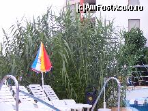 [P11] trestia de zahar » foto by neagugaby
 - 
<span class="allrVoted glyphicon glyphicon-heart hidden" id="av109340"></span>
<a class="m-l-10 hidden" id="sv109340" onclick="voting_Foto_DelVot(,109340,921)" role="button">șterge vot <span class="glyphicon glyphicon-remove"></span></a>
<a id="v9109340" class=" c-red"  onclick="voting_Foto_SetVot(109340)" role="button"><span class="glyphicon glyphicon-heart-empty"></span> <b>LIKE</b> = Votează poza</a> <img class="hidden"  id="f109340W9" src="/imagini/loader.gif" border="0" /><span class="AjErrMes hidden" id="e109340ErM"></span>