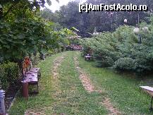 [P13] verdeata din jurul hotelului » foto by neagugaby
 - 
<span class="allrVoted glyphicon glyphicon-heart hidden" id="av109342"></span>
<a class="m-l-10 hidden" id="sv109342" onclick="voting_Foto_DelVot(,109342,921)" role="button">șterge vot <span class="glyphicon glyphicon-remove"></span></a>
<a id="v9109342" class=" c-red"  onclick="voting_Foto_SetVot(109342)" role="button"><span class="glyphicon glyphicon-heart-empty"></span> <b>LIKE</b> = Votează poza</a> <img class="hidden"  id="f109342W9" src="/imagini/loader.gif" border="0" /><span class="AjErrMes hidden" id="e109342ErM"></span>