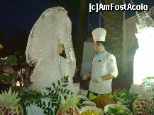 [P138] Gala Night-sculptură în gheață » foto by nicole33
 - 
<span class="allrVoted glyphicon glyphicon-heart hidden" id="av227742"></span>
<a class="m-l-10 hidden" id="sv227742" onclick="voting_Foto_DelVot(,227742,93)" role="button">șterge vot <span class="glyphicon glyphicon-remove"></span></a>
<a id="v9227742" class=" c-red"  onclick="voting_Foto_SetVot(227742)" role="button"><span class="glyphicon glyphicon-heart-empty"></span> <b>LIKE</b> = Votează poza</a> <img class="hidden"  id="f227742W9" src="/imagini/loader.gif" border="0" /><span class="AjErrMes hidden" id="e227742ErM"></span>