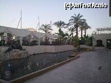 [P70] piscina vazuta de pe terasa de la restaurantul italian » foto by nicole33
 - 
<span class="allrVoted glyphicon glyphicon-heart hidden" id="av227619"></span>
<a class="m-l-10 hidden" id="sv227619" onclick="voting_Foto_DelVot(,227619,93)" role="button">șterge vot <span class="glyphicon glyphicon-remove"></span></a>
<a id="v9227619" class=" c-red"  onclick="voting_Foto_SetVot(227619)" role="button"><span class="glyphicon glyphicon-heart-empty"></span> <b>LIKE</b> = Votează poza</a> <img class="hidden"  id="f227619W9" src="/imagini/loader.gif" border="0" /><span class="AjErrMes hidden" id="e227619ErM"></span>