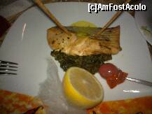 [P93] felul principal la restaurantul mexican » foto by nicole33
 - 
<span class="allrVoted glyphicon glyphicon-heart hidden" id="av227654"></span>
<a class="m-l-10 hidden" id="sv227654" onclick="voting_Foto_DelVot(,227654,93)" role="button">șterge vot <span class="glyphicon glyphicon-remove"></span></a>
<a id="v9227654" class=" c-red"  onclick="voting_Foto_SetVot(227654)" role="button"><span class="glyphicon glyphicon-heart-empty"></span> <b>LIKE</b> = Votează poza</a> <img class="hidden"  id="f227654W9" src="/imagini/loader.gif" border="0" /><span class="AjErrMes hidden" id="e227654ErM"></span>