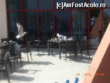 [P04] Nu trebuie sa ai bratara ca sa ai acces la AI » foto by pleteab
 - 
<span class="allrVoted glyphicon glyphicon-heart hidden" id="av198525"></span>
<a class="m-l-10 hidden" id="sv198525" onclick="voting_Foto_DelVot(,198525,939)" role="button">șterge vot <span class="glyphicon glyphicon-remove"></span></a>
<a id="v9198525" class=" c-red"  onclick="voting_Foto_SetVot(198525)" role="button"><span class="glyphicon glyphicon-heart-empty"></span> <b>LIKE</b> = Votează poza</a> <img class="hidden"  id="f198525W9" src="/imagini/loader.gif" border="0" /><span class="AjErrMes hidden" id="e198525ErM"></span>