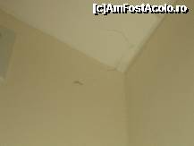 [P03] paienjeni ... » foto by elena.cristina
 - 
<span class="allrVoted glyphicon glyphicon-heart hidden" id="av251600"></span>
<a class="m-l-10 hidden" id="sv251600" onclick="voting_Foto_DelVot(,251600,939)" role="button">șterge vot <span class="glyphicon glyphicon-remove"></span></a>
<a id="v9251600" class=" c-red"  onclick="voting_Foto_SetVot(251600)" role="button"><span class="glyphicon glyphicon-heart-empty"></span> <b>LIKE</b> = Votează poza</a> <img class="hidden"  id="f251600W9" src="/imagini/loader.gif" border="0" /><span class="AjErrMes hidden" id="e251600ErM"></span>