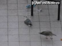 [P01] Dimineata,ora 7,masa de pe terasa cu primii clienti » foto by soryn68
 - 
<span class="allrVoted glyphicon glyphicon-heart hidden" id="av125363"></span>
<a class="m-l-10 hidden" id="sv125363" onclick="voting_Foto_DelVot(,125363,939)" role="button">șterge vot <span class="glyphicon glyphicon-remove"></span></a>
<a id="v9125363" class=" c-red"  onclick="voting_Foto_SetVot(125363)" role="button"><span class="glyphicon glyphicon-heart-empty"></span> <b>LIKE</b> = Votează poza</a> <img class="hidden"  id="f125363W9" src="/imagini/loader.gif" border="0" /><span class="AjErrMes hidden" id="e125363ErM"></span>