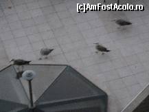 [P03] Niste pescarusi fericiti » foto by soryn68
 - 
<span class="allrVoted glyphicon glyphicon-heart hidden" id="av125371"></span>
<a class="m-l-10 hidden" id="sv125371" onclick="voting_Foto_DelVot(,125371,939)" role="button">șterge vot <span class="glyphicon glyphicon-remove"></span></a>
<a id="v9125371" class=" c-red"  onclick="voting_Foto_SetVot(125371)" role="button"><span class="glyphicon glyphicon-heart-empty"></span> <b>LIKE</b> = Votează poza</a> <img class="hidden"  id="f125371W9" src="/imagini/loader.gif" border="0" /><span class="AjErrMes hidden" id="e125371ErM"></span>