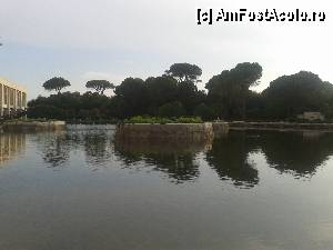 [P10]  -- <small>// FĂRĂ DESCRIERE</small> » foto by andreea sandri
 - 
<span class="allrVoted glyphicon glyphicon-heart hidden" id="av380671"></span>
<a class="m-l-10 hidden" id="sv380671" onclick="voting_Foto_DelVot(,380671,94)" role="button">șterge vot <span class="glyphicon glyphicon-remove"></span></a>
<a id="v9380671" class=" c-red"  onclick="voting_Foto_SetVot(380671)" role="button"><span class="glyphicon glyphicon-heart-empty"></span> <b>LIKE</b> = Votează poza</a> <img class="hidden"  id="f380671W9" src="/imagini/loader.gif" border="0" /><span class="AjErrMes hidden" id="e380671ErM"></span>