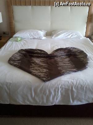 [P05]  -- <small>// FĂRĂ DESCRIERE</small> » foto by andreea sandri
 - 
<span class="allrVoted glyphicon glyphicon-heart hidden" id="av380666"></span>
<a class="m-l-10 hidden" id="sv380666" onclick="voting_Foto_DelVot(,380666,94)" role="button">șterge vot <span class="glyphicon glyphicon-remove"></span></a>
<a id="v9380666" class=" c-red"  onclick="voting_Foto_SetVot(380666)" role="button"><span class="glyphicon glyphicon-heart-empty"></span> <b>LIKE</b> = Votează poza</a> <img class="hidden"  id="f380666W9" src="/imagini/loader.gif" border="0" /><span class="AjErrMes hidden" id="e380666ErM"></span>