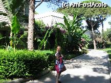 [P16] Una din multele alei ale hotelului » foto by Camelia X
 - 
<span class="allrVoted glyphicon glyphicon-heart hidden" id="av74602"></span>
<a class="m-l-10 hidden" id="sv74602" onclick="voting_Foto_DelVot(,74602,94)" role="button">șterge vot <span class="glyphicon glyphicon-remove"></span></a>
<a id="v974602" class=" c-red"  onclick="voting_Foto_SetVot(74602)" role="button"><span class="glyphicon glyphicon-heart-empty"></span> <b>LIKE</b> = Votează poza</a> <img class="hidden"  id="f74602W9" src="/imagini/loader.gif" border="0" /><span class="AjErrMes hidden" id="e74602ErM"></span>
