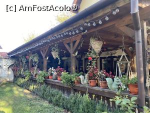 P07 [OCT-2023] Pensiunea Domnescu, Sălişte - flori pe terasa 
