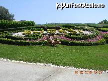 [P14]  -- <small>// FĂRĂ DESCRIERE</small> » foto by biancabia
 - 
<span class="allrVoted glyphicon glyphicon-heart hidden" id="av134971"></span>
<a class="m-l-10 hidden" id="sv134971" onclick="voting_Foto_DelVot(,134971,97)" role="button">șterge vot <span class="glyphicon glyphicon-remove"></span></a>
<a id="v9134971" class=" c-red"  onclick="voting_Foto_SetVot(134971)" role="button"><span class="glyphicon glyphicon-heart-empty"></span> <b>LIKE</b> = Votează poza</a> <img class="hidden"  id="f134971W9" src="/imagini/loader.gif" border="0" /><span class="AjErrMes hidden" id="e134971ErM"></span>