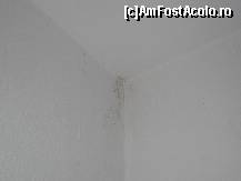 [P01] Asta e 'renovarea' » foto by Alischia
 - 
<span class="allrVoted glyphicon glyphicon-heart hidden" id="av117240"></span>
<a class="m-l-10 hidden" id="sv117240" onclick="voting_Foto_DelVot(,117240,1003)" role="button">șterge vot <span class="glyphicon glyphicon-remove"></span></a>
<a id="v9117240" class=" c-red"  onclick="voting_Foto_SetVot(117240)" role="button"><span class="glyphicon glyphicon-heart-empty"></span> <b>LIKE</b> = Votează poza</a> <img class="hidden"  id="f117240W9" src="/imagini/loader.gif" border="0" /><span class="AjErrMes hidden" id="e117240ErM"></span>