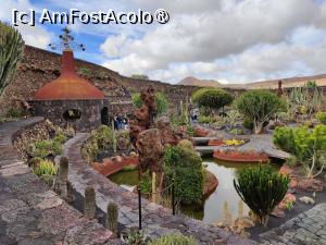 [P13] Jardin de Cactus » foto by crismis
 - 
<span class="allrVoted glyphicon glyphicon-heart hidden" id="av1483705"></span>
<a class="m-l-10 hidden" id="sv1483705" onclick="voting_Foto_DelVot(,1483705,1154)" role="button">șterge vot <span class="glyphicon glyphicon-remove"></span></a>
<a id="v91483705" class=" c-red"  onclick="voting_Foto_SetVot(1483705)" role="button"><span class="glyphicon glyphicon-heart-empty"></span> <b>LIKE</b> = Votează poza</a> <img class="hidden"  id="f1483705W9" src="/imagini/loader.gif" border="0" /><span class="AjErrMes hidden" id="e1483705ErM"></span>