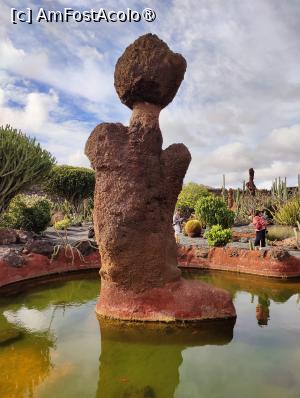 [P20] Jardin de Cactus » foto by crismis
 - 
<span class="allrVoted glyphicon glyphicon-heart hidden" id="av1483712"></span>
<a class="m-l-10 hidden" id="sv1483712" onclick="voting_Foto_DelVot(,1483712,1154)" role="button">șterge vot <span class="glyphicon glyphicon-remove"></span></a>
<a id="v91483712" class=" c-red"  onclick="voting_Foto_SetVot(1483712)" role="button"><span class="glyphicon glyphicon-heart-empty"></span> <b>LIKE</b> = Votează poza</a> <img class="hidden"  id="f1483712W9" src="/imagini/loader.gif" border="0" /><span class="AjErrMes hidden" id="e1483712ErM"></span>