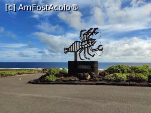 [P34] Jameos del Aqua; micul crustaceu orb este simbolul acestui obiectiv turistic » foto by crismis
 - 
<span class="allrVoted glyphicon glyphicon-heart hidden" id="av1483726"></span>
<a class="m-l-10 hidden" id="sv1483726" onclick="voting_Foto_DelVot(,1483726,1154)" role="button">șterge vot <span class="glyphicon glyphicon-remove"></span></a>
<a id="v91483726" class=" c-red"  onclick="voting_Foto_SetVot(1483726)" role="button"><span class="glyphicon glyphicon-heart-empty"></span> <b>LIKE</b> = Votează poza</a> <img class="hidden"  id="f1483726W9" src="/imagini/loader.gif" border="0" /><span class="AjErrMes hidden" id="e1483726ErM"></span>