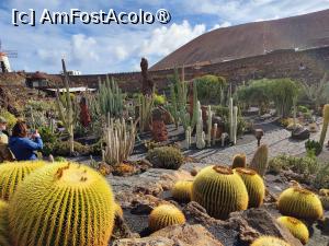 [P04] Jardin de Cactus » foto by crismis
 - 
<span class="allrVoted glyphicon glyphicon-heart hidden" id="av1483696"></span>
<a class="m-l-10 hidden" id="sv1483696" onclick="voting_Foto_DelVot(,1483696,1154)" role="button">șterge vot <span class="glyphicon glyphicon-remove"></span></a>
<a id="v91483696" class=" c-red"  onclick="voting_Foto_SetVot(1483696)" role="button"><span class="glyphicon glyphicon-heart-empty"></span> <b>LIKE</b> = Votează poza</a> <img class="hidden"  id="f1483696W9" src="/imagini/loader.gif" border="0" /><span class="AjErrMes hidden" id="e1483696ErM"></span>