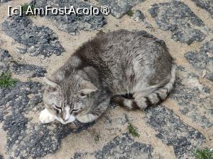 [P50] La pas prin Teguise » foto by crismis
 - 
<span class="allrVoted glyphicon glyphicon-heart hidden" id="av1484038"></span>
<a class="m-l-10 hidden" id="sv1484038" onclick="voting_Foto_DelVot(,1484038,1154)" role="button">șterge vot <span class="glyphicon glyphicon-remove"></span></a>
<a id="v91484038" class=" c-red"  onclick="voting_Foto_SetVot(1484038)" role="button"><span class="glyphicon glyphicon-heart-empty"></span> <b>LIKE</b> = Votează poza</a> <img class="hidden"  id="f1484038W9" src="/imagini/loader.gif" border="0" /><span class="AjErrMes hidden" id="e1484038ErM"></span>