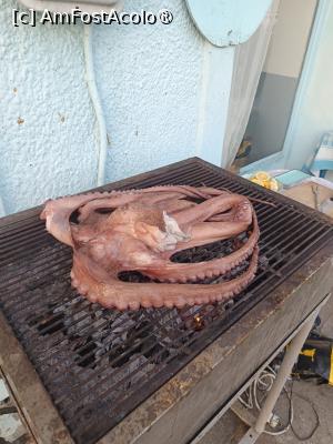 [P12] caracatiță pe grătar, nepăsătoare. » foto by gojavaler
 - 
<span class="allrVoted glyphicon glyphicon-heart hidden" id="av1497946"></span>
<a class="m-l-10 hidden" id="sv1497946" onclick="voting_Foto_DelVot(,1497946,1161)" role="button">șterge vot <span class="glyphicon glyphicon-remove"></span></a>
<a id="v91497946" class=" c-red"  onclick="voting_Foto_SetVot(1497946)" role="button"><span class="glyphicon glyphicon-heart-empty"></span> <b>LIKE</b> = Votează poza</a> <img class="hidden"  id="f1497946W9" src="/imagini/loader.gif" border="0" /><span class="AjErrMes hidden" id="e1497946ErM"></span>