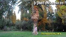 [P16] parcul de la Gerakina » foto by adryana
 - 
<span class="allrVoted glyphicon glyphicon-heart hidden" id="av137045"></span>
<a class="m-l-10 hidden" id="sv137045" onclick="voting_Foto_DelVot(,137045,1165)" role="button">șterge vot <span class="glyphicon glyphicon-remove"></span></a>
<a id="v9137045" class=" c-red"  onclick="voting_Foto_SetVot(137045)" role="button"><span class="glyphicon glyphicon-heart-empty"></span> <b>LIKE</b> = Votează poza</a> <img class="hidden"  id="f137045W9" src="/imagini/loader.gif" border="0" /><span class="AjErrMes hidden" id="e137045ErM"></span>