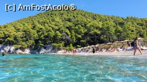 [P15] Kastani, Skopelos » foto by vlado2
 - 
<span class="allrVoted glyphicon glyphicon-heart hidden" id="av1520341"></span>
<a class="m-l-10 hidden" id="sv1520341" onclick="voting_Foto_DelVot(,1520341,1166)" role="button">șterge vot <span class="glyphicon glyphicon-remove"></span></a>
<a id="v91520341" class=" c-red"  onclick="voting_Foto_SetVot(1520341)" role="button"><span class="glyphicon glyphicon-heart-empty"></span> <b>LIKE</b> = Votează poza</a> <img class="hidden"  id="f1520341W9" src="/imagini/loader.gif" border="0" /><span class="AjErrMes hidden" id="e1520341ErM"></span>