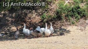 [P25] Prin Skiathos » foto by vlado2
 - 
<span class="allrVoted glyphicon glyphicon-heart hidden" id="av1520351"></span>
<a class="m-l-10 hidden" id="sv1520351" onclick="voting_Foto_DelVot(,1520351,1166)" role="button">șterge vot <span class="glyphicon glyphicon-remove"></span></a>
<a id="v91520351" class=" c-red"  onclick="voting_Foto_SetVot(1520351)" role="button"><span class="glyphicon glyphicon-heart-empty"></span> <b>LIKE</b> = Votează poza</a> <img class="hidden"  id="f1520351W9" src="/imagini/loader.gif" border="0" /><span class="AjErrMes hidden" id="e1520351ErM"></span>