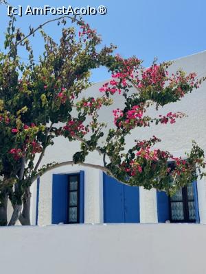 [P03] Santorini cu alb și ciclamen » foto by andreeavro
 - 
<span class="allrVoted glyphicon glyphicon-heart hidden" id="av1487807"></span>
<a class="m-l-10 hidden" id="sv1487807" onclick="voting_Foto_DelVot(,1487807,1177)" role="button">șterge vot <span class="glyphicon glyphicon-remove"></span></a>
<a id="v91487807" class=" c-red"  onclick="voting_Foto_SetVot(1487807)" role="button"><span class="glyphicon glyphicon-heart-empty"></span> <b>LIKE</b> = Votează poza</a> <img class="hidden"  id="f1487807W9" src="/imagini/loader.gif" border="0" /><span class="AjErrMes hidden" id="e1487807ErM"></span>