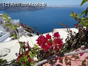 P12 [JUN-2017] Printre flori... Oia