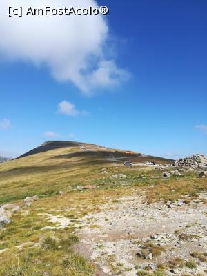 [P14] Transalpina, cea salbatica » foto by olteanul2010
 - 
<span class="allrVoted glyphicon glyphicon-heart hidden" id="av1188276"></span>
<a class="m-l-10 hidden" id="sv1188276" onclick="voting_Foto_DelVot(,1188276,1219)" role="button">șterge vot <span class="glyphicon glyphicon-remove"></span></a>
<a id="v91188276" class=" c-red"  onclick="voting_Foto_SetVot(1188276)" role="button"><span class="glyphicon glyphicon-heart-empty"></span> <b>LIKE</b> = Votează poza</a> <img class="hidden"  id="f1188276W9" src="/imagini/loader.gif" border="0" /><span class="AjErrMes hidden" id="e1188276ErM"></span>