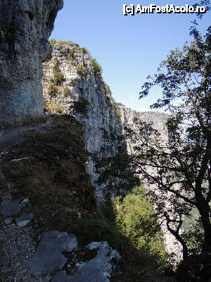 [P07] Canionul Vikos. Punctul de belvedere Oxia » foto by ebirsan
 - 
<span class="allrVoted glyphicon glyphicon-heart hidden" id="av473317"></span>
<a class="m-l-10 hidden" id="sv473317" onclick="voting_Foto_DelVot(,473317,1227)" role="button">șterge vot <span class="glyphicon glyphicon-remove"></span></a>
<a id="v9473317" class=" c-red"  onclick="voting_Foto_SetVot(473317)" role="button"><span class="glyphicon glyphicon-heart-empty"></span> <b>LIKE</b> = Votează poza</a> <img class="hidden"  id="f473317W9" src="/imagini/loader.gif" border="0" /><span class="AjErrMes hidden" id="e473317ErM"></span>