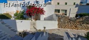 [P63] Bougainvillea de Chora Amorgos » foto by irinad
 - 
<span class="allrVoted glyphicon glyphicon-heart hidden" id="av1484279"></span>
<a class="m-l-10 hidden" id="sv1484279" onclick="voting_Foto_DelVot(,1484279,1227)" role="button">șterge vot <span class="glyphicon glyphicon-remove"></span></a>
<a id="v91484279" class=" c-red"  onclick="voting_Foto_SetVot(1484279)" role="button"><span class="glyphicon glyphicon-heart-empty"></span> <b>LIKE</b> = Votează poza</a> <img class="hidden"  id="f1484279W9" src="/imagini/loader.gif" border="0" /><span class="AjErrMes hidden" id="e1484279ErM"></span>