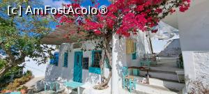 [P73] La pas prin Chora Amorgos » foto by irinad
 - 
<span class="allrVoted glyphicon glyphicon-heart hidden" id="av1484289"></span>
<a class="m-l-10 hidden" id="sv1484289" onclick="voting_Foto_DelVot(,1484289,1227)" role="button">șterge vot <span class="glyphicon glyphicon-remove"></span></a>
<a id="v91484289" class=" c-red"  onclick="voting_Foto_SetVot(1484289)" role="button"><span class="glyphicon glyphicon-heart-empty"></span> <b>LIKE</b> = Votează poza</a> <img class="hidden"  id="f1484289W9" src="/imagini/loader.gif" border="0" /><span class="AjErrMes hidden" id="e1484289ErM"></span>