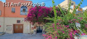 [P99] Bougainvillea de Perissa, Santorini » foto by irinad
 - 
<span class="allrVoted glyphicon glyphicon-heart hidden" id="av1484315"></span>
<a class="m-l-10 hidden" id="sv1484315" onclick="voting_Foto_DelVot(,1484315,1227)" role="button">șterge vot <span class="glyphicon glyphicon-remove"></span></a>
<a id="v91484315" class=" c-red"  onclick="voting_Foto_SetVot(1484315)" role="button"><span class="glyphicon glyphicon-heart-empty"></span> <b>LIKE</b> = Votează poza</a> <img class="hidden"  id="f1484315W9" src="/imagini/loader.gif" border="0" /><span class="AjErrMes hidden" id="e1484315ErM"></span>