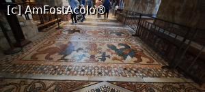 [P14] Bazilica San Marco, mozaicuri de pe podea » foto by irinad
 - 
<span class="allrVoted glyphicon glyphicon-heart hidden" id="av1480104"></span>
<a class="m-l-10 hidden" id="sv1480104" onclick="voting_Foto_DelVot(,1480104,1229)" role="button">șterge vot <span class="glyphicon glyphicon-remove"></span></a>
<a id="v91480104" class=" c-red"  onclick="voting_Foto_SetVot(1480104)" role="button"><span class="glyphicon glyphicon-heart-empty"></span> <b>LIKE</b> = Votează poza</a> <img class="hidden"  id="f1480104W9" src="/imagini/loader.gif" border="0" /><span class="AjErrMes hidden" id="e1480104ErM"></span>