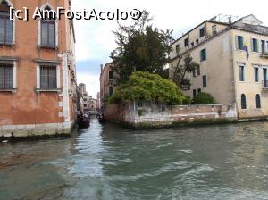 [P15] Pe Canal Grande, Veneția. Palazzo Giovannelli și Campiello delle Comore. » foto by mihaelavoicu
 - 
<span class="allrVoted glyphicon glyphicon-heart hidden" id="av1217843"></span>
<a class="m-l-10 hidden" id="sv1217843" onclick="voting_Foto_DelVot(,1217843,1229)" role="button">șterge vot <span class="glyphicon glyphicon-remove"></span></a>
<a id="v91217843" class=" c-red"  onclick="voting_Foto_SetVot(1217843)" role="button"><span class="glyphicon glyphicon-heart-empty"></span> <b>LIKE</b> = Votează poza</a> <img class="hidden"  id="f1217843W9" src="/imagini/loader.gif" border="0" /><span class="AjErrMes hidden" id="e1217843ErM"></span>