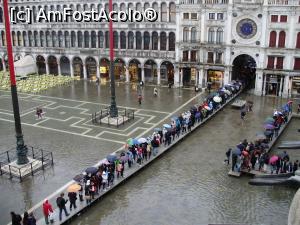 [P03] Piazza san Marco inundată. Oct. 2010 » foto by mihaelavoicu
 - 
<span class="allrVoted glyphicon glyphicon-heart hidden" id="av1089418"></span>
<a class="m-l-10 hidden" id="sv1089418" onclick="voting_Foto_DelVot(,1089418,1229)" role="button">șterge vot <span class="glyphicon glyphicon-remove"></span></a>
<a id="v91089418" class=" c-red"  onclick="voting_Foto_SetVot(1089418)" role="button"><span class="glyphicon glyphicon-heart-empty"></span> <b>LIKE</b> = Votează poza</a> <img class="hidden"  id="f1089418W9" src="/imagini/loader.gif" border="0" /><span class="AjErrMes hidden" id="e1089418ErM"></span>