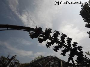 [P17] prin Gardaland » foto by robert
 - 
<span class="allrVoted glyphicon glyphicon-heart hidden" id="av669633"></span>
<a class="m-l-10 hidden" id="sv669633" onclick="voting_Foto_DelVot(,669633,1233)" role="button">șterge vot <span class="glyphicon glyphicon-remove"></span></a>
<a id="v9669633" class=" c-red"  onclick="voting_Foto_SetVot(669633)" role="button"><span class="glyphicon glyphicon-heart-empty"></span> <b>LIKE</b> = Votează poza</a> <img class="hidden"  id="f669633W9" src="/imagini/loader.gif" border="0" /><span class="AjErrMes hidden" id="e669633ErM"></span>