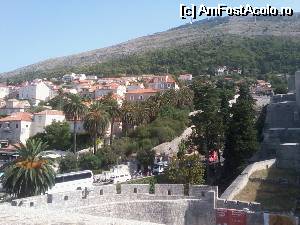 [P18] Cetatea Dubrovnik-ului » foto by Gioia
 - 
<span class="allrVoted glyphicon glyphicon-heart hidden" id="av544379"></span>
<a class="m-l-10 hidden" id="sv544379" onclick="voting_Foto_DelVot(,544379,1238)" role="button">șterge vot <span class="glyphicon glyphicon-remove"></span></a>
<a id="v9544379" class=" c-red"  onclick="voting_Foto_SetVot(544379)" role="button"><span class="glyphicon glyphicon-heart-empty"></span> <b>LIKE</b> = Votează poza</a> <img class="hidden"  id="f544379W9" src="/imagini/loader.gif" border="0" /><span class="AjErrMes hidden" id="e544379ErM"></span>