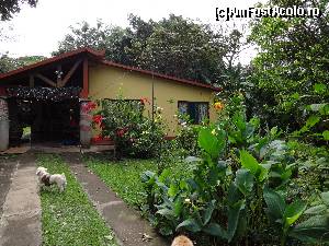 [P16] o casa viza-vi de hotelul unde am stat in Alajuela » foto by grecudoina
 - 
<span class="allrVoted glyphicon glyphicon-heart hidden" id="av600961"></span>
<a class="m-l-10 hidden" id="sv600961" onclick="voting_Foto_DelVot(,600961,1272)" role="button">șterge vot <span class="glyphicon glyphicon-remove"></span></a>
<a id="v9600961" class=" c-red"  onclick="voting_Foto_SetVot(600961)" role="button"><span class="glyphicon glyphicon-heart-empty"></span> <b>LIKE</b> = Votează poza</a> <img class="hidden"  id="f600961W9" src="/imagini/loader.gif" border="0" /><span class="AjErrMes hidden" id="e600961ErM"></span>