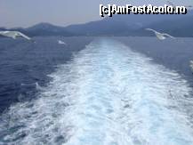 [P10] Pescarusii ne spuneau 'La revedere'! Vedere din ferry boat. In urma am lasat minunatul paradis care este Thasos » foto by ultravioleta*
 - 
<span class="allrVoted glyphicon glyphicon-heart hidden" id="av112143"></span>
<a class="m-l-10 hidden" id="sv112143" onclick="voting_Foto_DelVot(,112143,1334)" role="button">șterge vot <span class="glyphicon glyphicon-remove"></span></a>
<a id="v9112143" class=" c-red"  onclick="voting_Foto_SetVot(112143)" role="button"><span class="glyphicon glyphicon-heart-empty"></span> <b>LIKE</b> = Votează poza</a> <img class="hidden"  id="f112143W9" src="/imagini/loader.gif" border="0" /><span class="AjErrMes hidden" id="e112143ErM"></span>