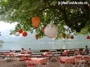 [P03] Hallstatt este considerat a fi unul dintre cele mai frumoase si pitoresti locuri din lume. Oraselul Hallstatt se afla in provincia Salzkammergut, pe malul stang al lacului Hallstattersee.  » foto by stellinna
 - 
<span class="allrVoted glyphicon glyphicon-heart hidden" id="av670804"></span>
<a class="m-l-10 hidden" id="sv670804" onclick="voting_Foto_DelVot(,670804,1383)" role="button">șterge vot <span class="glyphicon glyphicon-remove"></span></a>
<a id="v9670804" class=" c-red"  onclick="voting_Foto_SetVot(670804)" role="button"><span class="glyphicon glyphicon-heart-empty"></span> <b>LIKE</b> = Votează poza</a> <img class="hidden"  id="f670804W9" src="/imagini/loader.gif" border="0" /><span class="AjErrMes hidden" id="e670804ErM"></span>