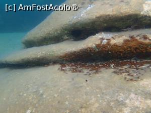 [P04] Karidi beach, snorkeling » foto by Dragoș_MD
 - 
<span class="allrVoted glyphicon glyphicon-heart hidden" id="av1469443"></span>
<a class="m-l-10 hidden" id="sv1469443" onclick="voting_Foto_DelVot(,1469443,1423)" role="button">șterge vot <span class="glyphicon glyphicon-remove"></span></a>
<a id="v91469443" class=" c-red"  onclick="voting_Foto_SetVot(1469443)" role="button"><span class="glyphicon glyphicon-heart-empty"></span> <b>LIKE</b> = Votează poza</a> <img class="hidden"  id="f1469443W9" src="/imagini/loader.gif" border="0" /><span class="AjErrMes hidden" id="e1469443ErM"></span>