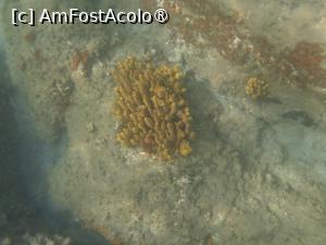 [P05] Karidi beach, snorkeling » foto by Dragoș_MD
 - 
<span class="allrVoted glyphicon glyphicon-heart hidden" id="av1469444"></span>
<a class="m-l-10 hidden" id="sv1469444" onclick="voting_Foto_DelVot(,1469444,1423)" role="button">șterge vot <span class="glyphicon glyphicon-remove"></span></a>
<a id="v91469444" class=" c-red"  onclick="voting_Foto_SetVot(1469444)" role="button"><span class="glyphicon glyphicon-heart-empty"></span> <b>LIKE</b> = Votează poza</a> <img class="hidden"  id="f1469444W9" src="/imagini/loader.gif" border="0" /><span class="AjErrMes hidden" id="e1469444ErM"></span>