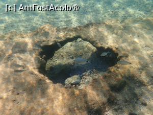 [P67] Tigania beach snorkeling » foto by Dragoș_MD
 - 
<span class="allrVoted glyphicon glyphicon-heart hidden" id="av1469564"></span>
<a class="m-l-10 hidden" id="sv1469564" onclick="voting_Foto_DelVot(,1469564,1423)" role="button">șterge vot <span class="glyphicon glyphicon-remove"></span></a>
<a id="v91469564" class=" c-red"  onclick="voting_Foto_SetVot(1469564)" role="button"><span class="glyphicon glyphicon-heart-empty"></span> <b>LIKE</b> = Votează poza</a> <img class="hidden"  id="f1469564W9" src="/imagini/loader.gif" border="0" /><span class="AjErrMes hidden" id="e1469564ErM"></span>