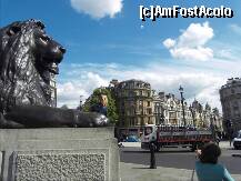 [P100] Trafalgar Square. Leii facuti din tunurile francezilor. » foto by TraianS
 - 
<span class="allrVoted glyphicon glyphicon-heart hidden" id="av226845"></span>
<a class="m-l-10 hidden" id="sv226845" onclick="voting_Foto_DelVot(,226845,1570)" role="button">șterge vot <span class="glyphicon glyphicon-remove"></span></a>
<a id="v9226845" class=" c-red"  onclick="voting_Foto_SetVot(226845)" role="button"><span class="glyphicon glyphicon-heart-empty"></span> <b>LIKE</b> = Votează poza</a> <img class="hidden"  id="f226845W9" src="/imagini/loader.gif" border="0" /><span class="AjErrMes hidden" id="e226845ErM"></span>