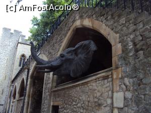 [P24] 24. Un elefant încearcă să ne aducă aminte de ”Menajeria” existentă în turn mai bine de 600 de ani.  » foto by msnd
 - 
<span class="allrVoted glyphicon glyphicon-heart hidden" id="av715756"></span>
<a class="m-l-10 hidden" id="sv715756" onclick="voting_Foto_DelVot(,715756,1570)" role="button">șterge vot <span class="glyphicon glyphicon-remove"></span></a>
<a id="v9715756" class=" c-red"  onclick="voting_Foto_SetVot(715756)" role="button"><span class="glyphicon glyphicon-heart-empty"></span> <b>LIKE</b> = Votează poza</a> <img class="hidden"  id="f715756W9" src="/imagini/loader.gif" border="0" /><span class="AjErrMes hidden" id="e715756ErM"></span>