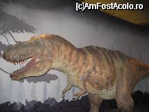 [P7x] T-Rex la Muzeul de istorie naturala » foto by buburuzica
 - 
<span class="allrVoted glyphicon glyphicon-heart hidden" id="av30203"></span>
<a class="m-l-10 hidden" id="sv30203" onclick="voting_Foto_DelVot(,30203,1570)" role="button">șterge vot <span class="glyphicon glyphicon-remove"></span></a>
<a id="v930203" class=" c-red"  onclick="voting_Foto_SetVot(30203)" role="button"><span class="glyphicon glyphicon-heart-empty"></span> <b>LIKE</b> = Votează poza</a> <img class="hidden"  id="f30203W9" src="/imagini/loader.gif" border="0" /><span class="AjErrMes hidden" id="e30203ErM"></span>