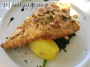 [P58] Ristorante Granduca Taormina » foto by crismis
 - 
<span class="allrVoted glyphicon glyphicon-heart hidden" id="av1055330"></span>
<a class="m-l-10 hidden" id="sv1055330" onclick="voting_Foto_DelVot(,1055330,1579)" role="button">șterge vot <span class="glyphicon glyphicon-remove"></span></a>
<a id="v91055330" class=" c-red"  onclick="voting_Foto_SetVot(1055330)" role="button"><span class="glyphicon glyphicon-heart-empty"></span> <b>LIKE</b> = Votează poza</a> <img class="hidden"  id="f1055330W9" src="/imagini/loader.gif" border="0" /><span class="AjErrMes hidden" id="e1055330ErM"></span>