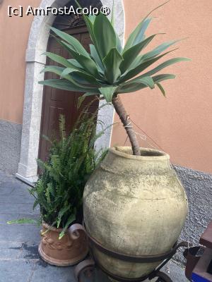 [P24] Taormina -Din stradă » foto by Yersinia Pestis
 - 
<span class="allrVoted glyphicon glyphicon-heart hidden" id="av1516033"></span>
<a class="m-l-10 hidden" id="sv1516033" onclick="voting_Foto_DelVot(,1516033,1579)" role="button">șterge vot <span class="glyphicon glyphicon-remove"></span></a>
<a id="v91516033" class=" c-red"  onclick="voting_Foto_SetVot(1516033)" role="button"><span class="glyphicon glyphicon-heart-empty"></span> <b>LIKE</b> = Votează poza</a> <img class="hidden"  id="f1516033W9" src="/imagini/loader.gif" border="0" /><span class="AjErrMes hidden" id="e1516033ErM"></span>