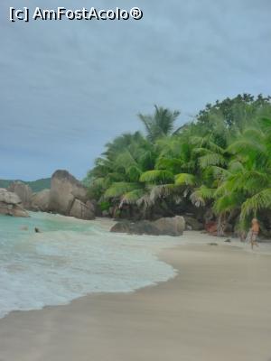 [P20] Anse Severe - La Digue » foto by danadineata
 - 
<span class="allrVoted glyphicon glyphicon-heart hidden" id="av813467"></span>
<a class="m-l-10 hidden" id="sv813467" onclick="voting_Foto_DelVot(,813467,1613)" role="button">șterge vot <span class="glyphicon glyphicon-remove"></span></a>
<a id="v9813467" class=" c-red"  onclick="voting_Foto_SetVot(813467)" role="button"><span class="glyphicon glyphicon-heart-empty"></span> <b>LIKE</b> = Votează poza</a> <img class="hidden"  id="f813467W9" src="/imagini/loader.gif" border="0" /><span class="AjErrMes hidden" id="e813467ErM"></span>